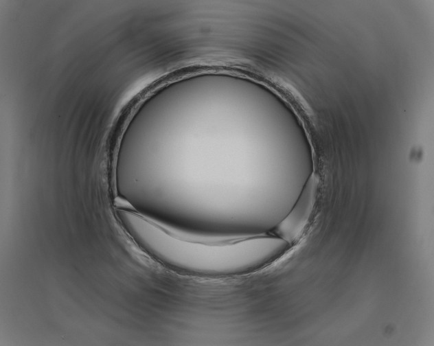 X0000094431114200712061108