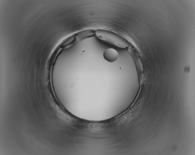 X0000094431116200712061108