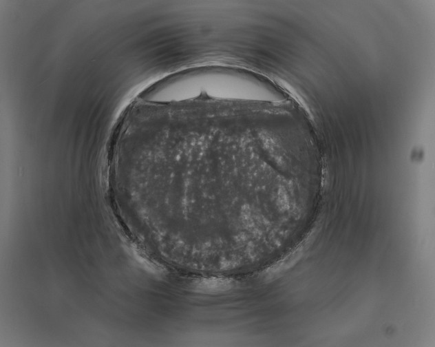 X0000094431117200712061108