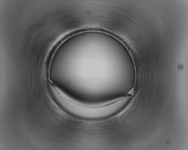 X0000094431118200712061108