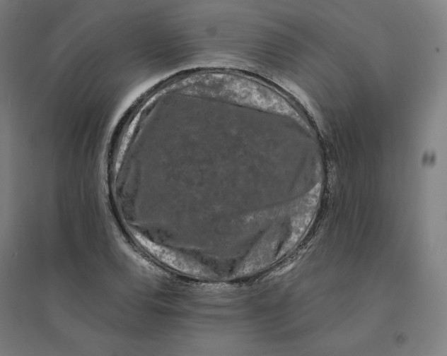 X0000094431120200712061108