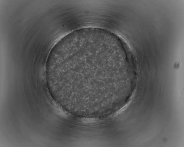 X0000094431121200712061108