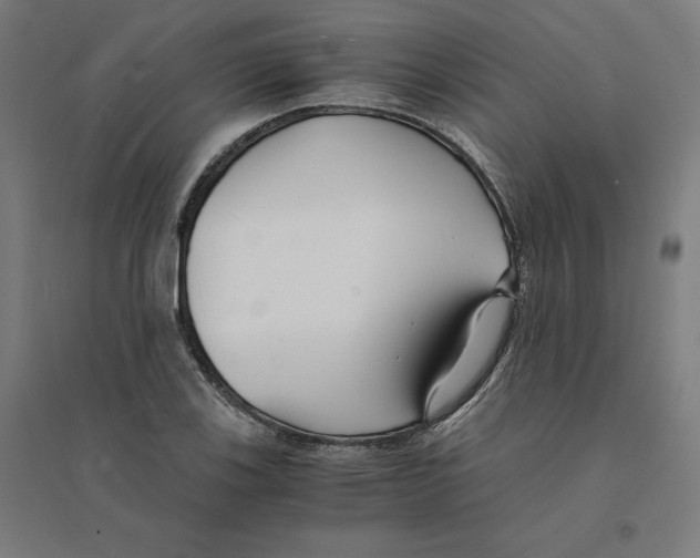 X0000094431123200712061108