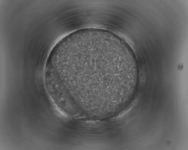 X0000094431125200712061108