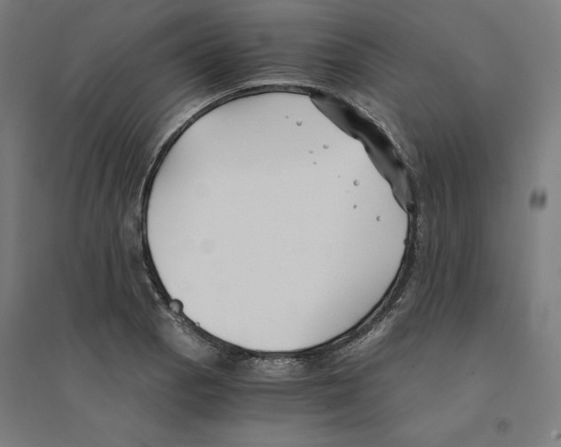 X0000094431129200712061108