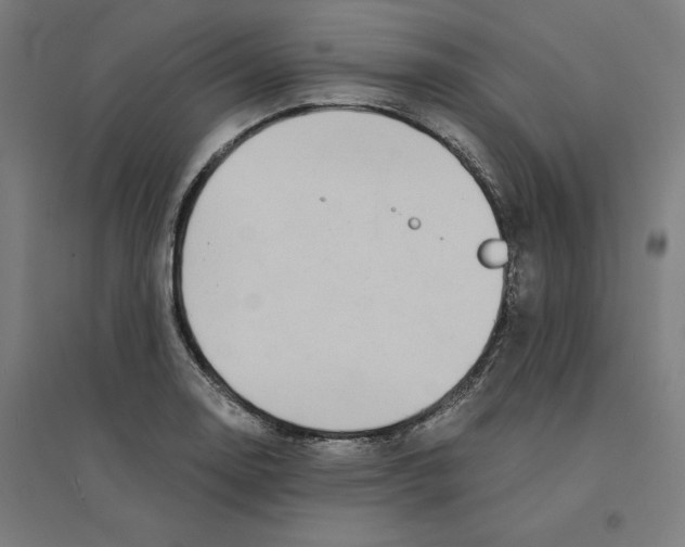 X0000094431130200712061108