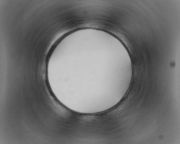 X0000094431131200712061108