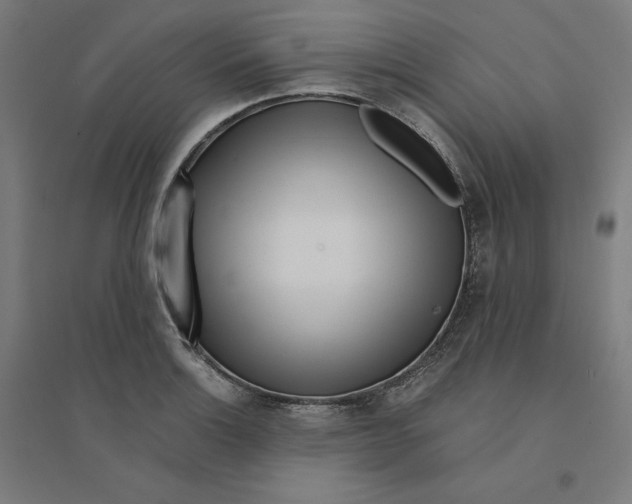 X0000094431132200712061108