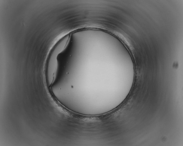 X0000094431133200712061108