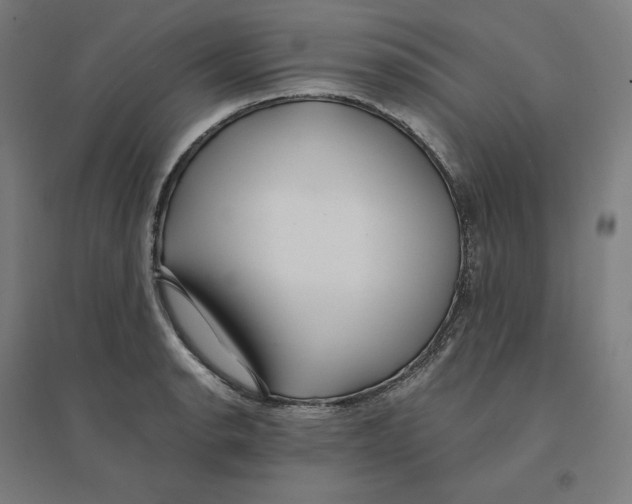 X0000094431134200712061108