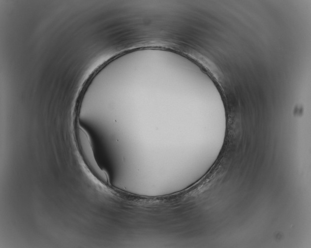 X0000094431135200712061108