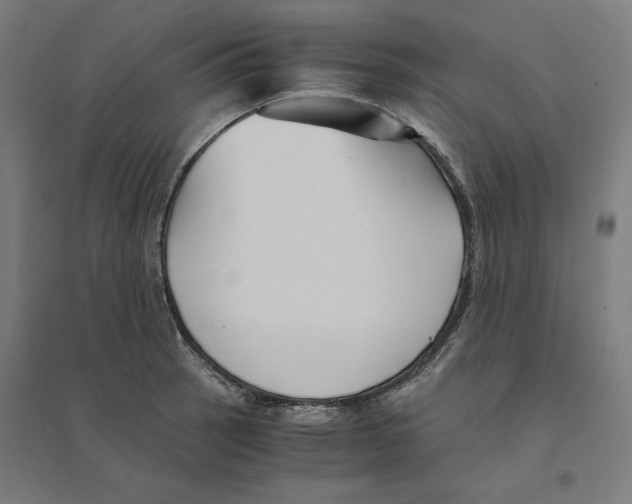 X0000094431137200712061108