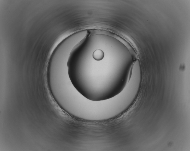 X0000094431138200712061108