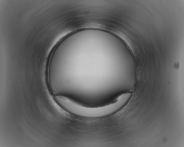 X0000094431139200712061108