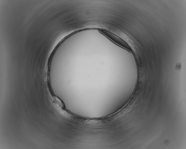 X0000094431140200712061108