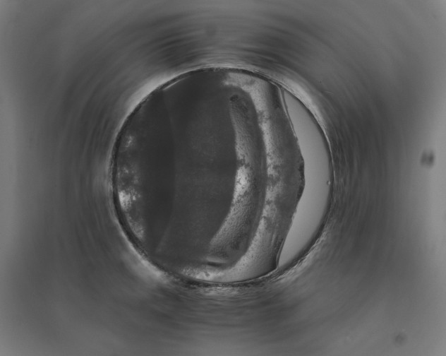 X0000094431141200712061108