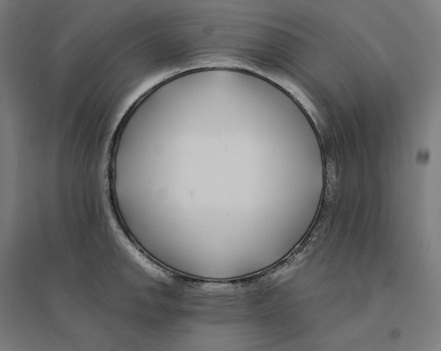 X0000094431142200712061108