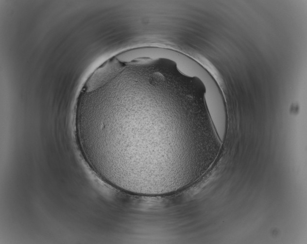 X0000094431144200712061108