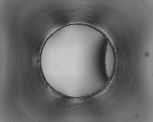 X0000094431145200712061108