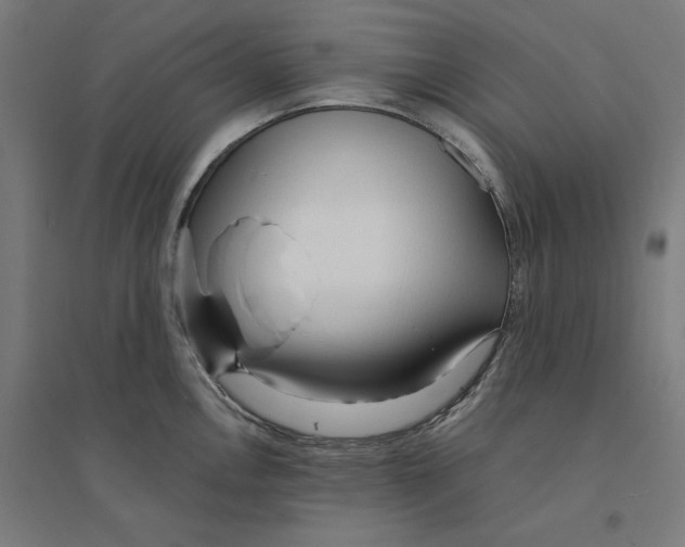 X0000094431146200712061108