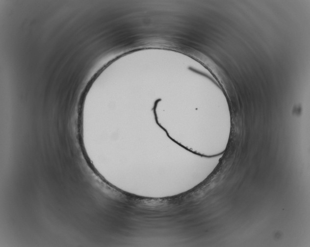 X0000094431147200712061108