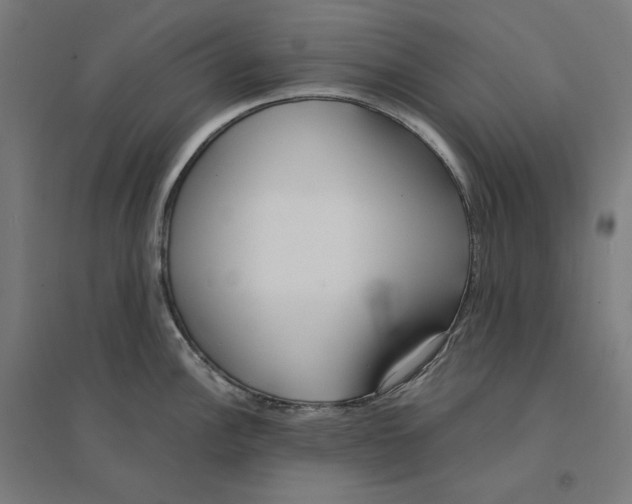 X0000094431148200712061108