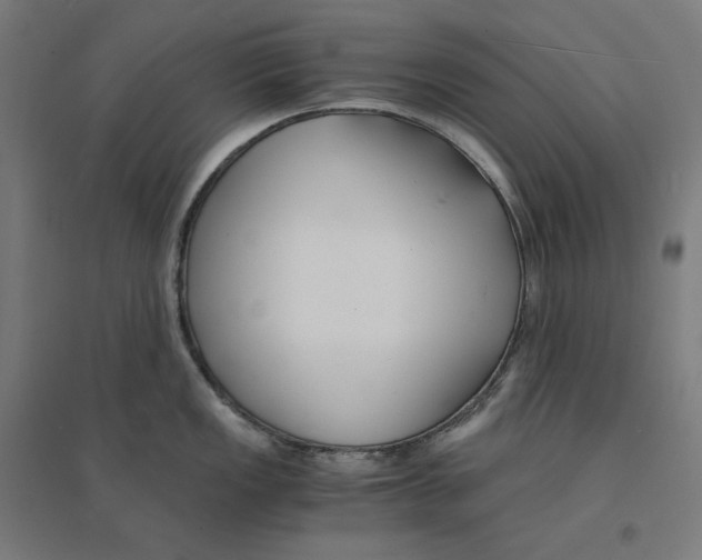 X0000094431149200712061108