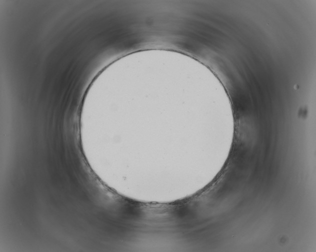 X0000094431150200712061108