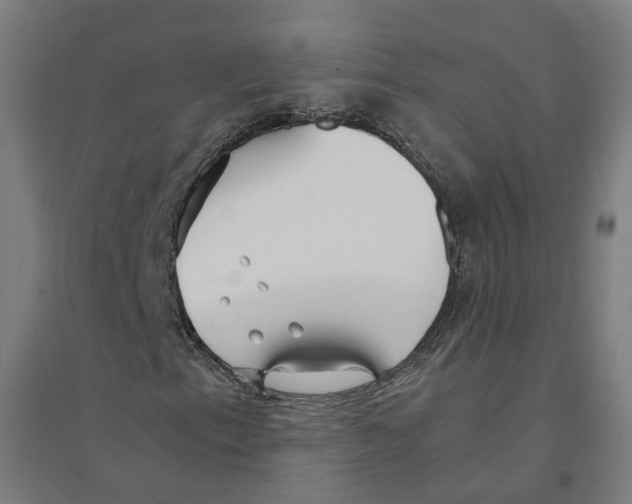 X0000094431153200712061107