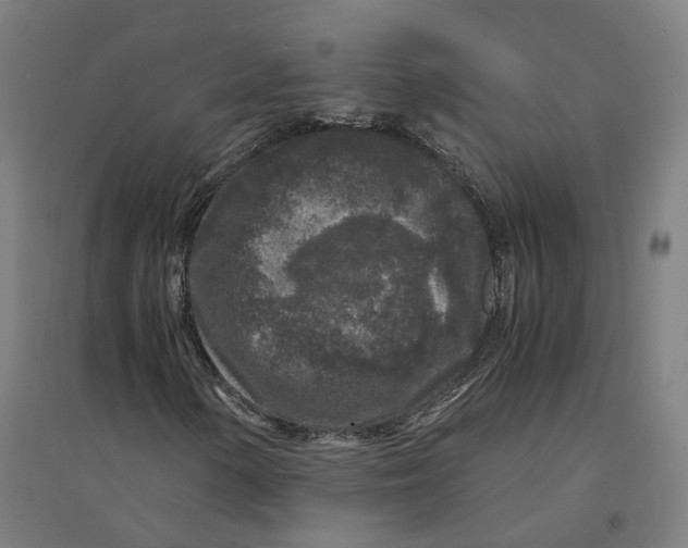 X0000094431154200712061107