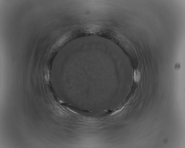 X0000094431155200712061107