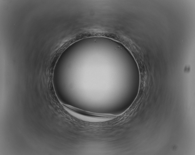 X0000094431157200712061107