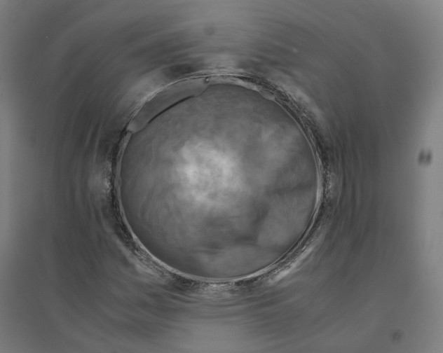 X0000094431161200712061107