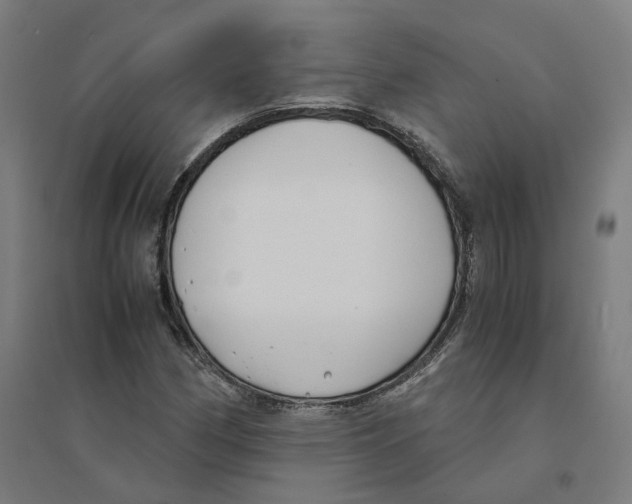 X0000094431162200712061107