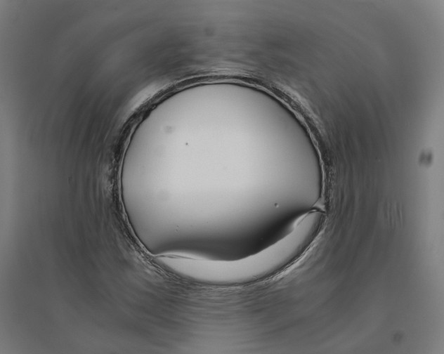 X0000094431163200712061107