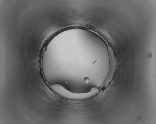 X0000094431164200712061107