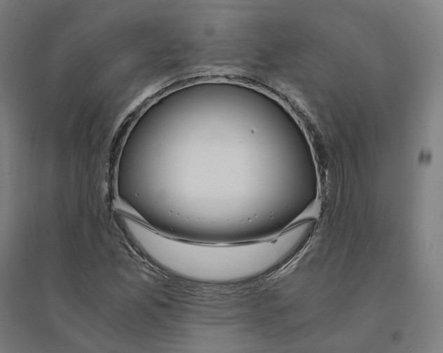 X0000094431165200712061107