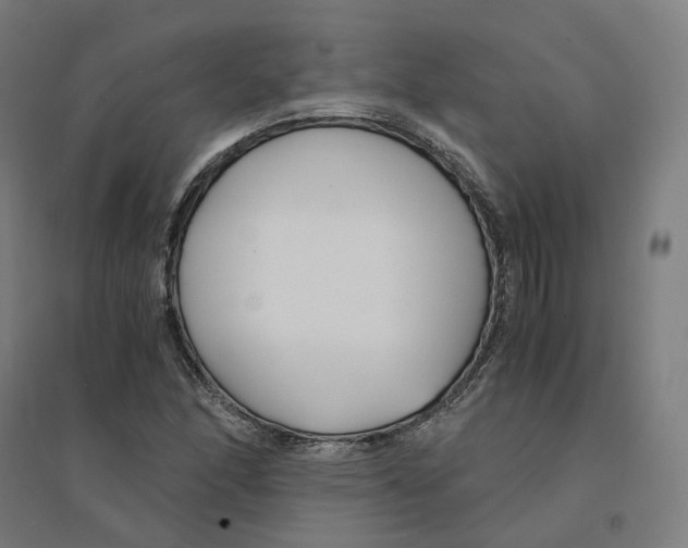 X0000094431166200712061107