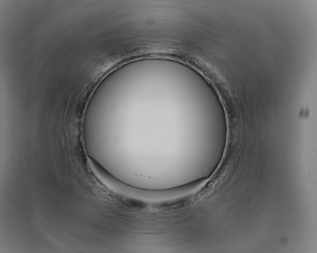 X0000094431169200712061107