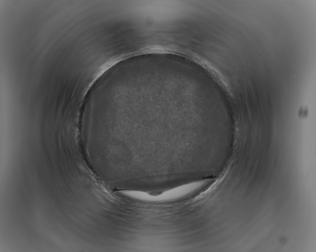 X0000094431170200712061107