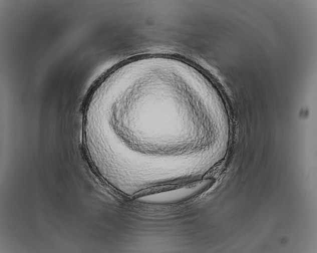 X0000094431171200712061107