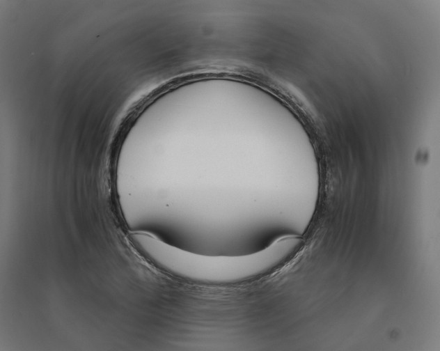 X0000094431172200712061107