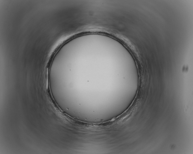 X0000094431175200712061107