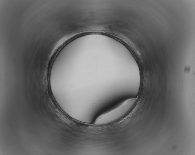 X0000094431176200712061107