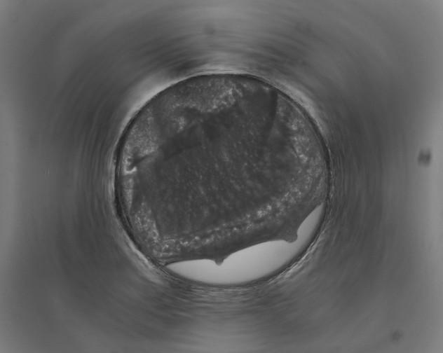 X0000094431179200712061107