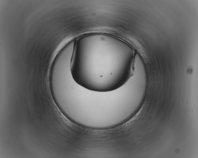 X0000094431180200712061107