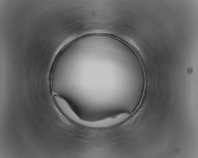 X0000094431181200712061107