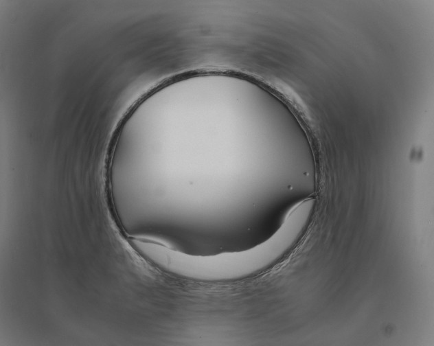 X0000094431183200712061107