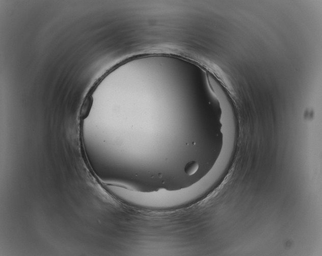 X0000094431184200712061107