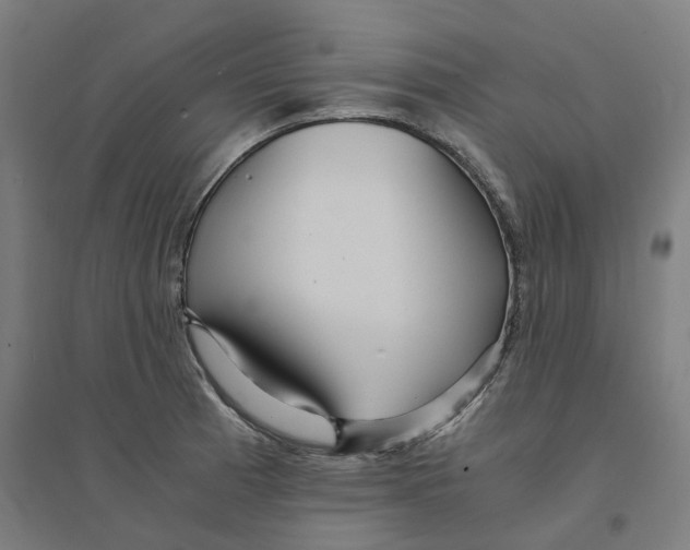 X0000094431185200712061107